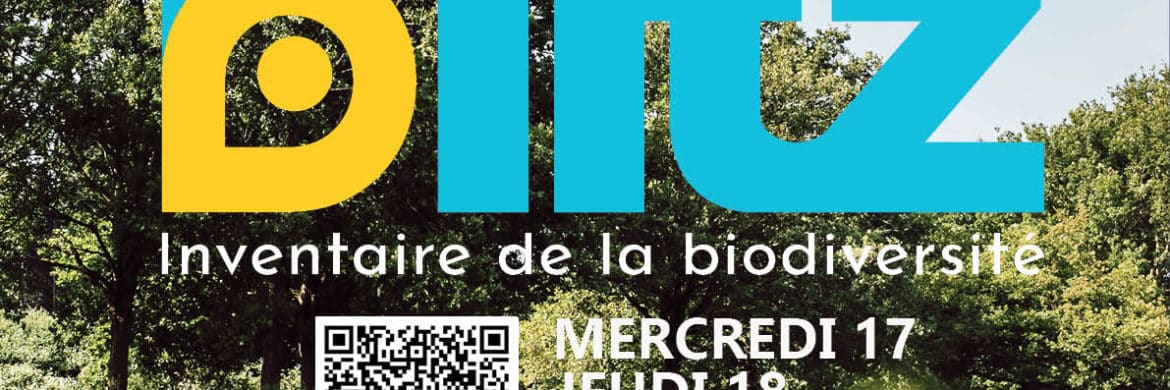 Inventaire Biodiversité